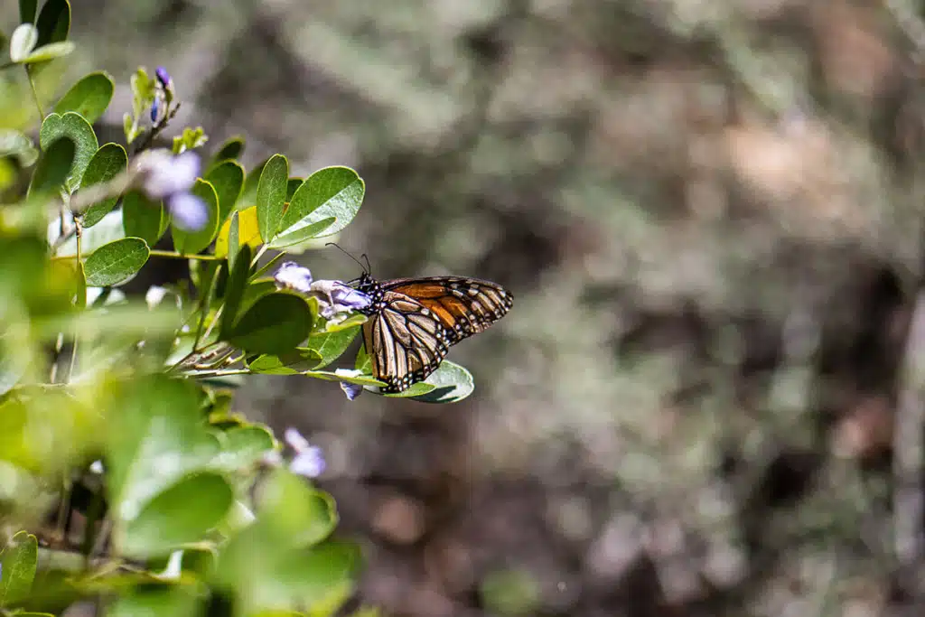 Laity-March-23-Quiet-Retreat-186